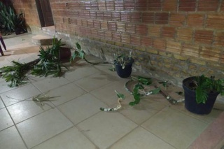 Casa de vereador é invadida.