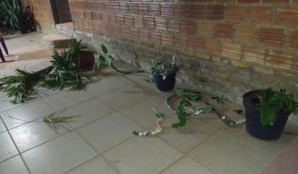 Casa de vereador é invadida. (Foto: Divulgação)
