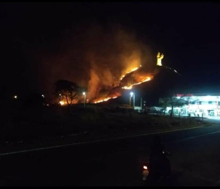 Incêndio começou ainda no período da tarde, na vegetação.
