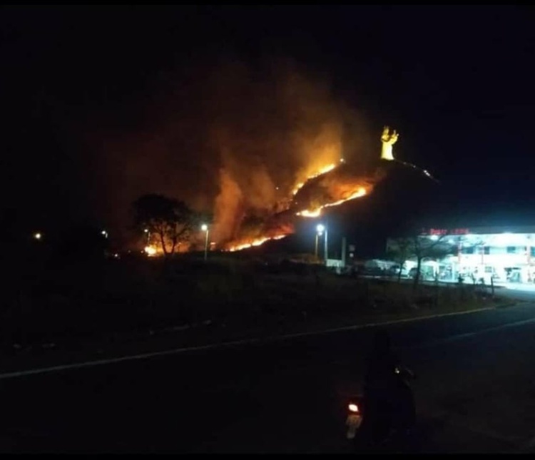 Incêndio começou ainda no período da tarde, na vegetação.