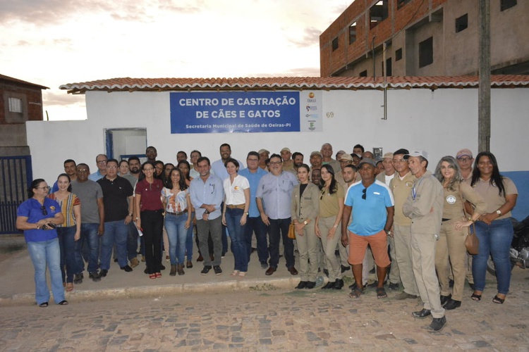 Centro de Castração de Cães e Gatos, em Oeiras.