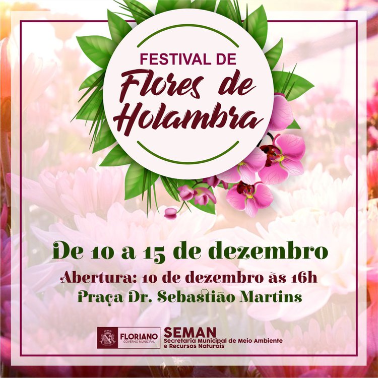Festival de Flores de Holambra começa hoje (10) em Floriano.