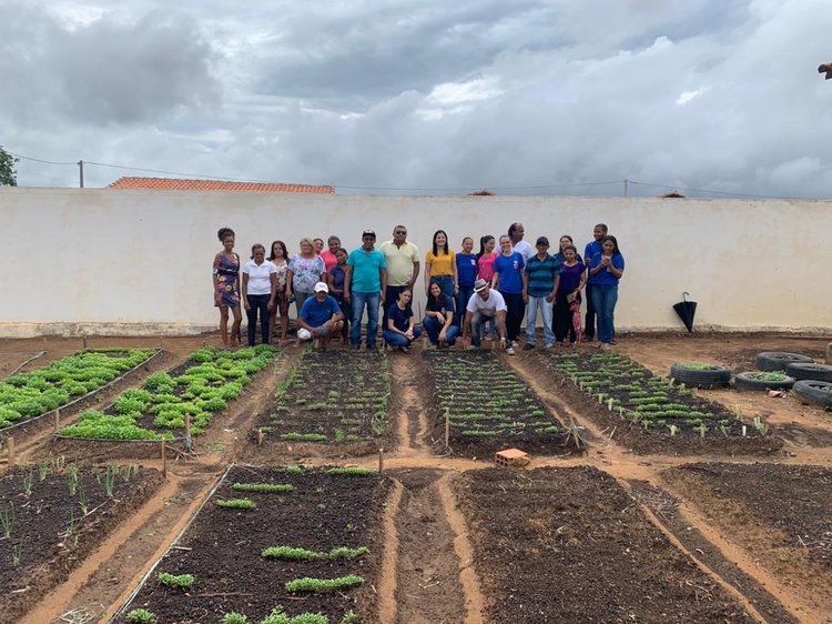 Horta Comunitária gera renda para diversas famílias de Oeiras.