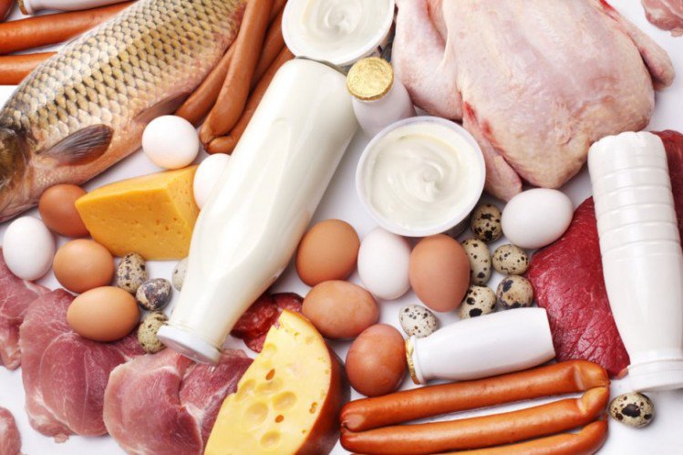Produtos origem animal