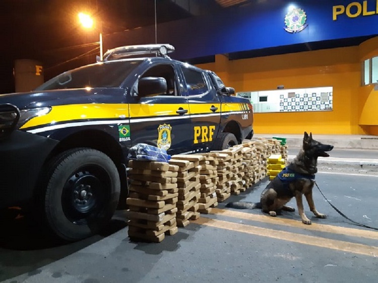 Ainda não se sabe qual seria o destino da carga