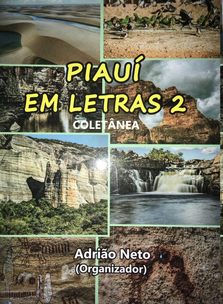 Capa do livro