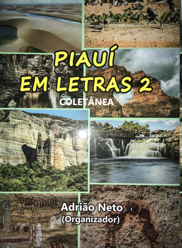 Capa do livro