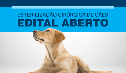 Prefeitura de Oeiras realizará castração gratuita em cães e gatos. (Foto: Prefeitura de Oeiras/Divulgação)