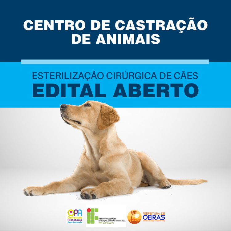 Prefeitura de Oeiras realizará castração gratuita em cães e gatos.