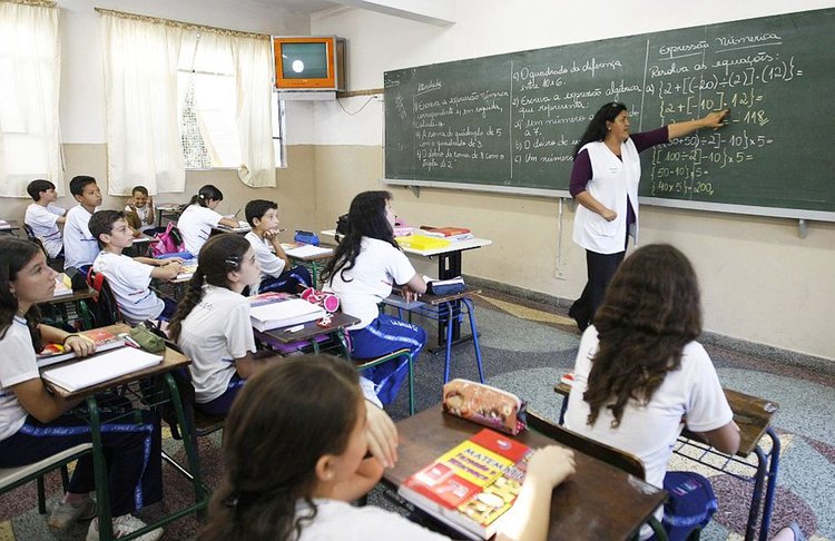 Professor educação básica.