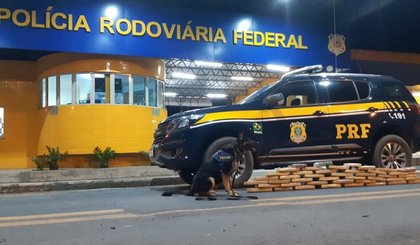 Cão farejador localiza 37 kg de maconha em ônibus. (Foto: PRF/Divulgação)