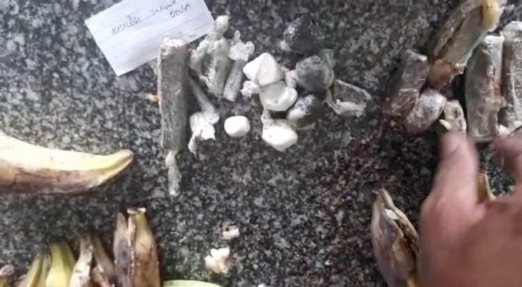 Droga é encontrada dentro de cachos de banana.