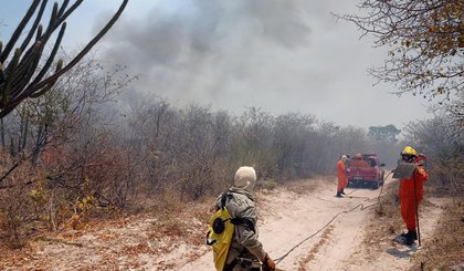 Incêndio atinge vegetação em várias cidades do Piauí. (Foto: Corpo de Bombeiros/Divulgação)