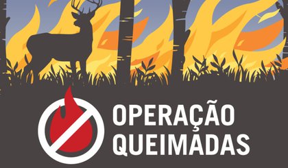 Operação contra queimadas (Foto: Governo do Piauí)