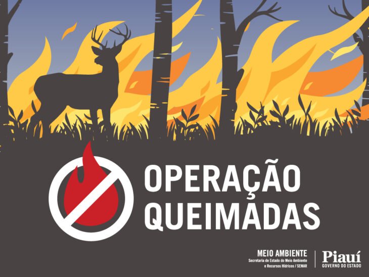 Operação contra queimadas