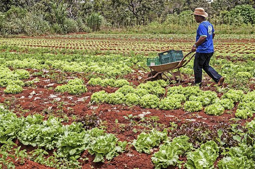 Agricultura familiar.