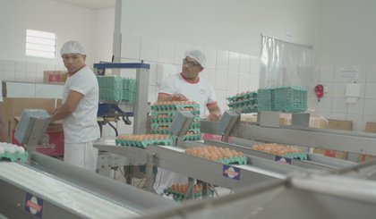 Produtos origem animal (Foto: Governo do Piauí/Divulgação) Produtos origem animal (Foto: Governo do Piauí/Divulgação)