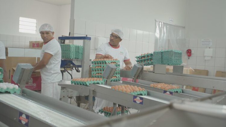 Produtos origem animal