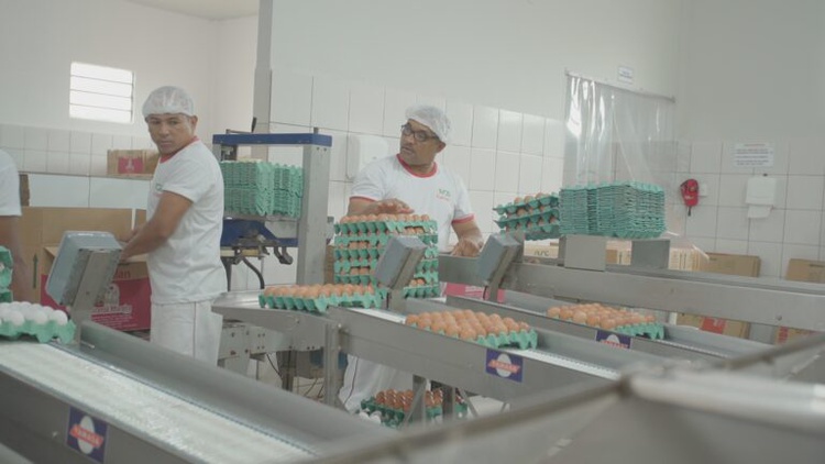 Produtos origem animal