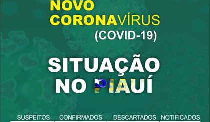 Coronavírus (Foto: Governo do Piauí/Divulgação) Coronavírus (Foto: Governo do Piauí/Divulgação)