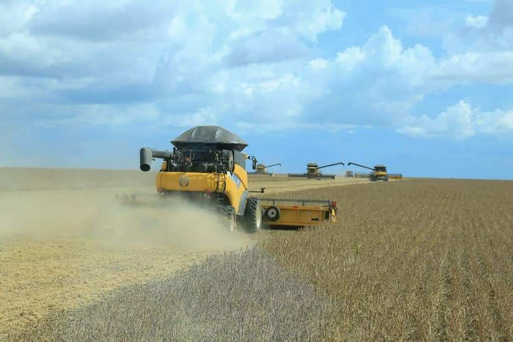 agricultura piauí
