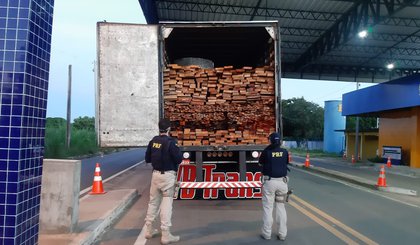 PRF apreende carga de madeira ilegal, que teria Pernambuco como destino. (Foto: PRF/Divulgação)