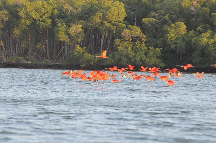 Turismo no Piauí