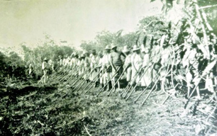 Imagem de antigos escravizados trabalhando na lavoura, do livro Brasil: ilustrado com gravuras, de Maurício Lamberg.