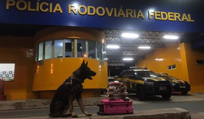 Cão farejador localiza drogas dentro de mala. (Foto: PRF/Divulgação)
