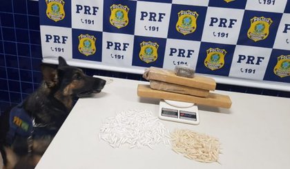 PRF apreende entorpecentes avaliados em R$ 44 mil. (Foto: PRF/Divulgação)