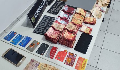 Dinheiro (Foto: Polícia Civil/Divulgação)