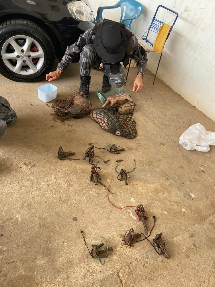 Tatus são resgatados pela polícia em Valença do Piauí.