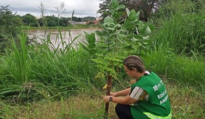 SEMAN promove ação de monitoramento de plantios realizados às margens do Rio Parnaíba. (Foto: Secom/Prefeitura de Floriano)