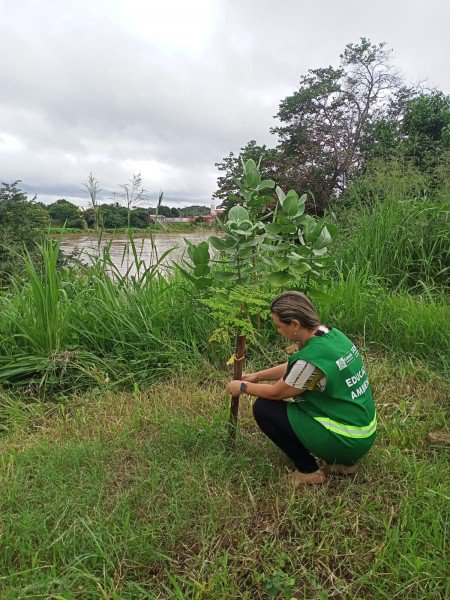 SEMAN promove ação de monitoramento de plantios realizados às margens do Rio Parnaíba.