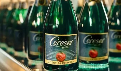 Anvisa manda suspender a venda de 28 lotes da Sidra Cereser. (Foto: Reprodução)