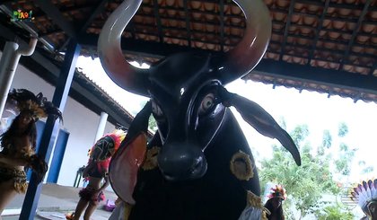 Bumba Meu Boi se torna patrimônio cultural imaterial do Piauí. (Foto: Reprodução /TV Clube)