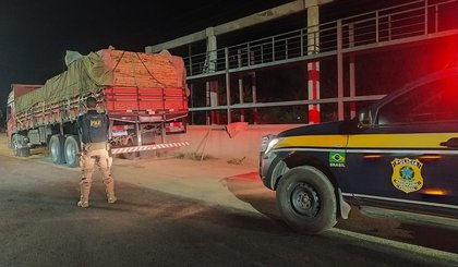 Operação da PRF apreende mais de 150m³ de madeira transportada de maneira irregular em diversos pontos da BR 316 no Piauí. (Foto: Divulgação/PRF)