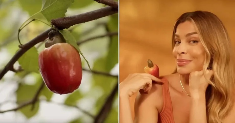 Propaganda da L'Occitane au Brasil com Grazi Massafera mostra caju preso ao galho pela castanha.