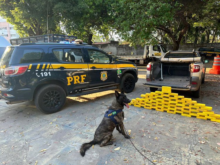 PRF no Piauí apreende mais de 62 kg de entorpecentes e uma pessoa é presa.