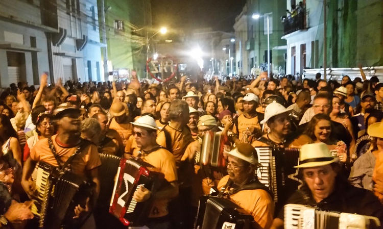sanfonas forró nordeste