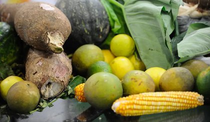 VEGETAIS VERDURAS ALIMENTOS (Foto: Fernando Frazão/Agência Brasil)