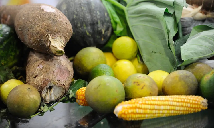 VEGETAIS VERDURAS ALIMENTOS