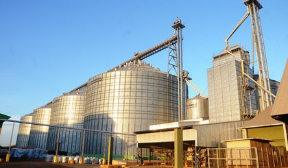 Milho atinge recorde de 89% nas exportações do Piauí. (Foto: Reprodução)