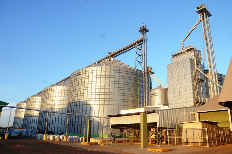 Milho atinge recorde de 89% nas exportações do Piauí.