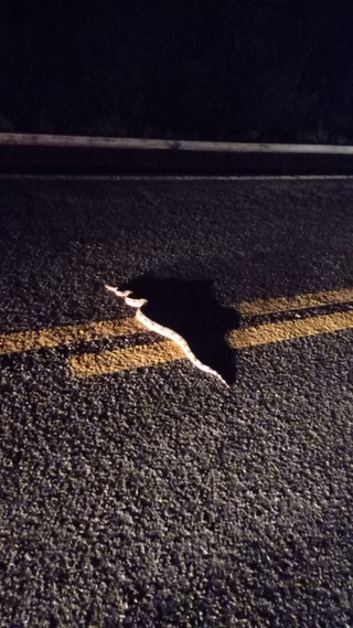O animal estava assustado e possivelmente escapou de ser atingido por veículos que passavam pela rodovia.