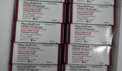 Piauí recebe 110 mil doses de vacina contra a Covid-19 para imunização de bebês e crianças. (Foto: Divulgação/Sesapi)