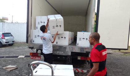 Piauí recebe 2ª remessa de vacinas bivalentes para imunização contra a covid-19. (Foto: Divulgação)