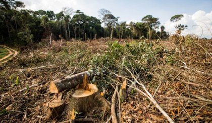 Semar multa empreendimentos irregulares em área indígena e ribeirinha do estado. (Foto: Imagem Ilustrativa/Reprodução)