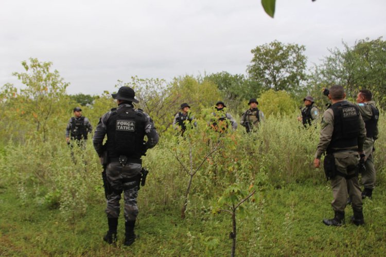 A 12ª DRPC esteve presente no local auxiliando no processo de incineração do material encontrado.