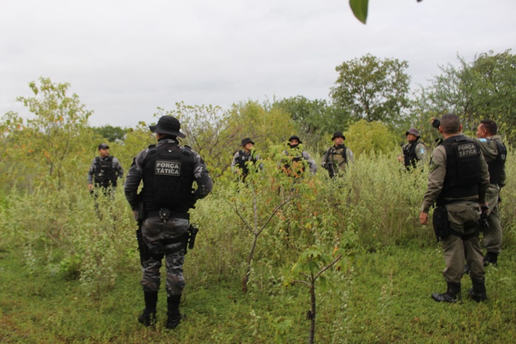 A 12ª DRPC esteve presente no local auxiliando no processo de incineração do material encontrado.